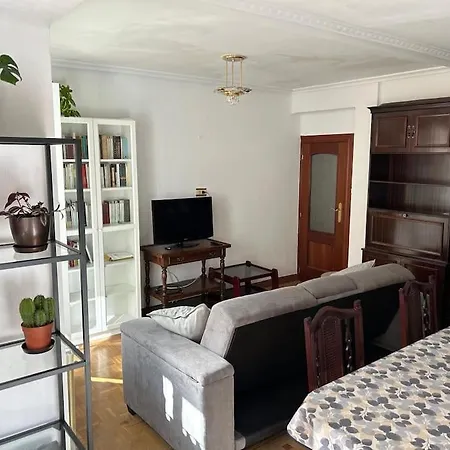 Lägenhet Habitacion En Apartamento Compartido En Burgo